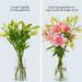 Lilies - Sweet mix
