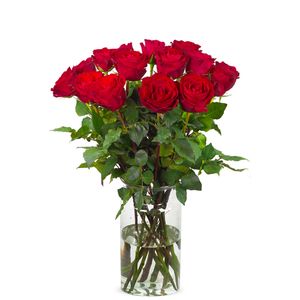 15 red roses | Grower