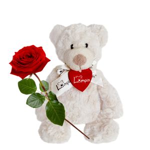 Rose with bear