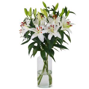 Lilies - White Oriental Lilies