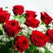 Great roses bouquet