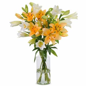 Lilies - Fresh mix