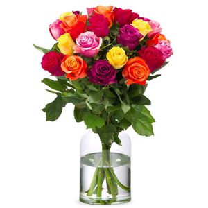 Long variegated roses | choose quantity
